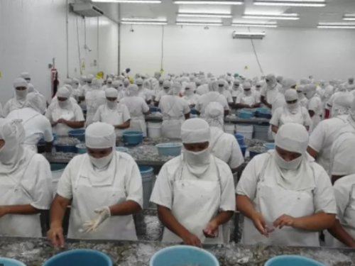 台灣人餐桌上的美中台外交角力與洪都拉斯的白蝦