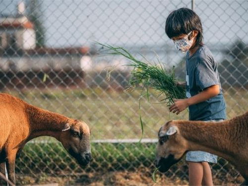 高雄觀光圈深度旅遊加碼200元好玩消費券 早鳥名額先搶先贏