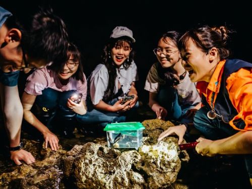屏東海生館「夜巡」活動  揭開夜暮低垂潮海之際的神秘面紗