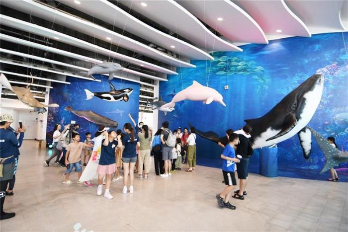 白色海豚屋營造室內海洋風 與海對話・鯨豚共舞 歡迎來打卡 白色海豚屋營造室內海洋風 與海對話・鯨豚共舞 歡迎來打卡