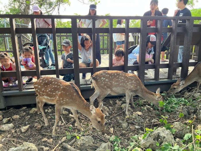 感謝風災救援英雄 壽山動物園暖推憑證年底前免費入園